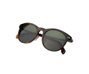 Black Sunglass