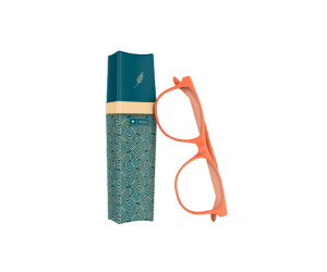 Eyeglasses Case